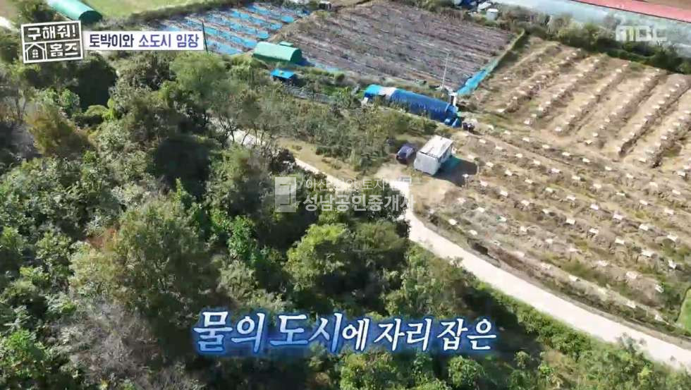 충남 아산시 도고면 화천리 배과수원 주말농장 추천 매매 매물번호 10075 사진 1