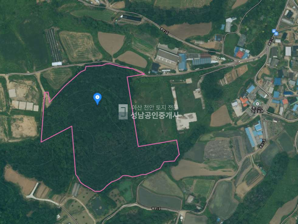 충남 천안동남구 성남면 봉양리 592-2 계획관리 임야 도로 있음 매매 매물번호 10004 사진 1