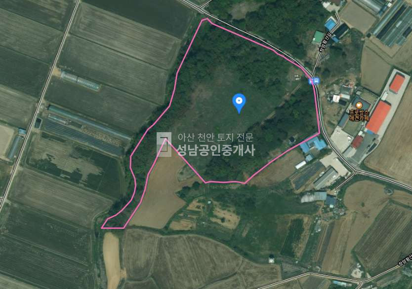 충남 아산시 신창면 창암리 221-1 노유자시설, 단독주택 적합한 생산관리 넓은 토지 매매 매매 매물번호 10005 사진 1