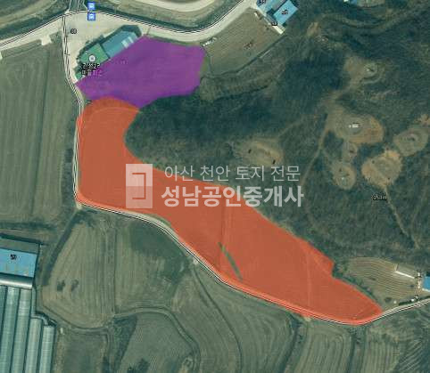 충남 천안동남구 병천면 관성리 논농사 짓고 있는 토지 매매 매물번호 10014 사진 1