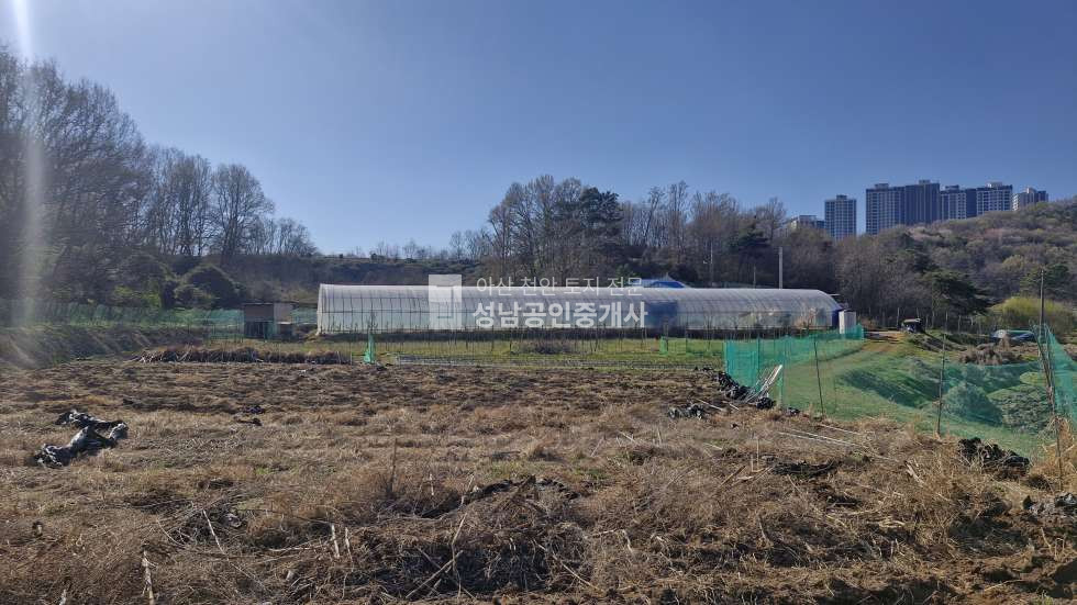 충남 아산시 법곡동 농로 차량 접근 가능 매매 매물번호 10034 사진 1