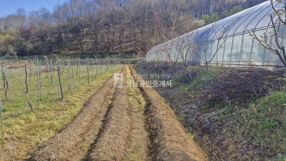 충남 아산시 법곡동 농로 차량 접근 가능 매매 매물번호 10034 사진 4