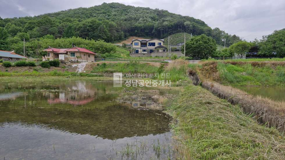 충남 아산시 송악면 평촌리 마을옆 농림지역 농지 매매 매물번호 10036 사진 1