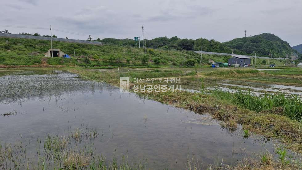충남 아산시 송악면 평촌리 마을옆 농림지역 농지 매매 매물번호 10036 사진 3