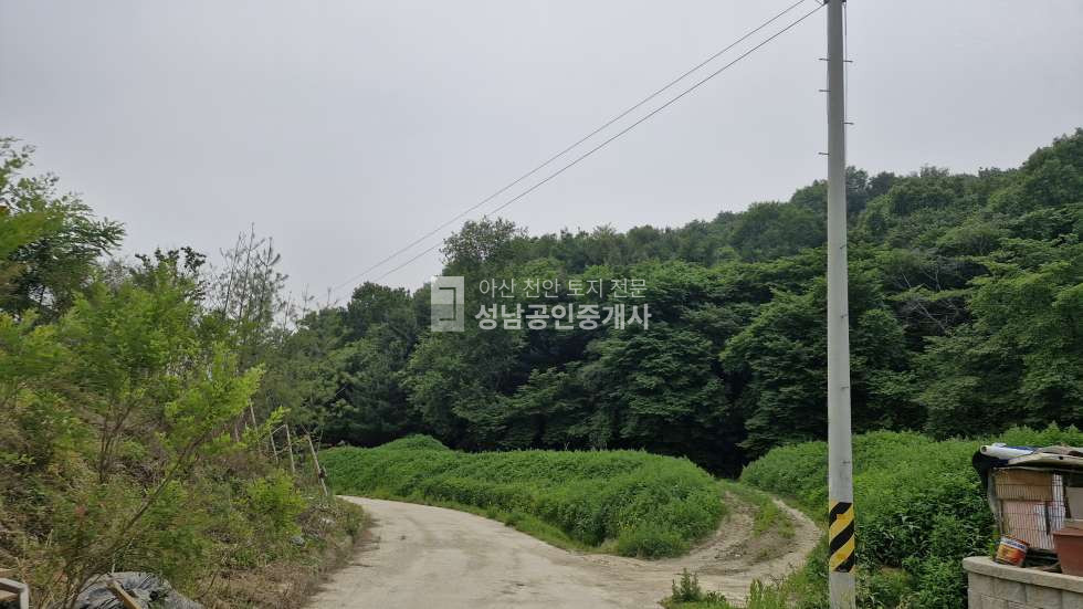 충남 아산시 장존동 도로접한 광고성 좋은 토지, 분할가능 매매 매물번호 10061 사진 1